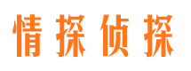 迭部找人公司